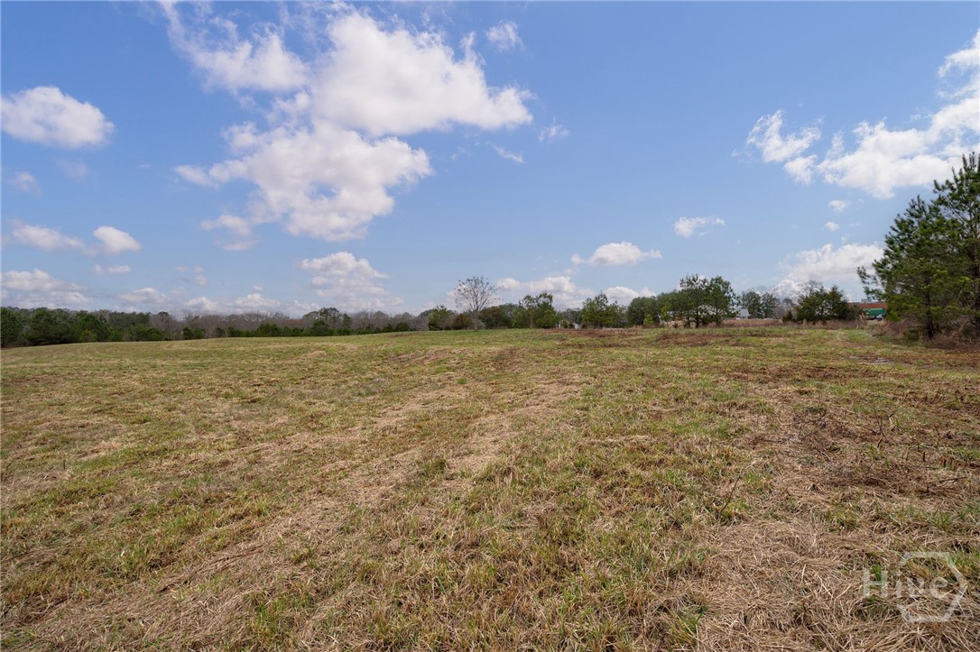 Tract 3 High Shoals Road Property Photo 7