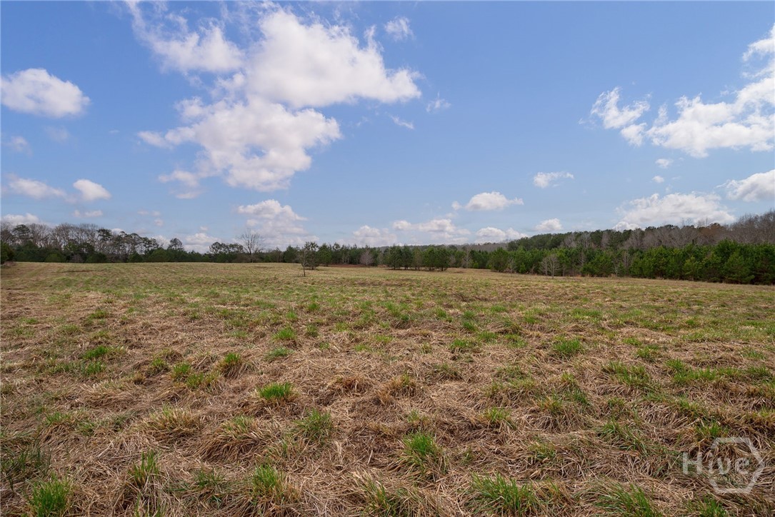 Tract 3 High Shoals Road Property Photo 8