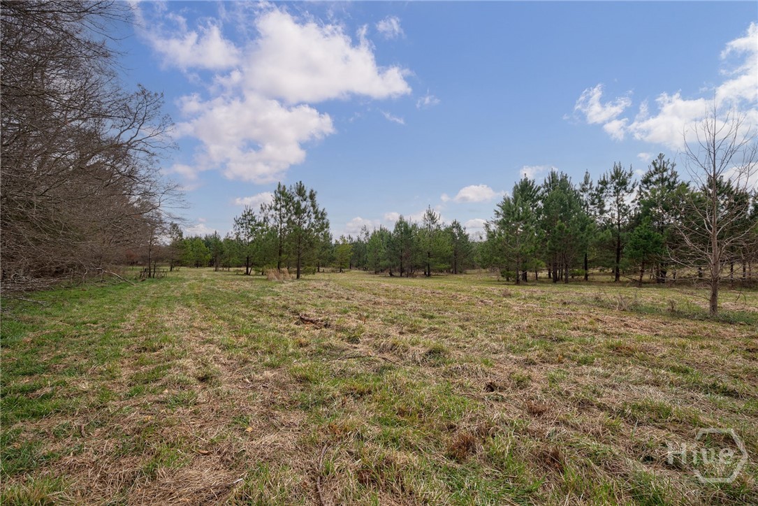 Tract 3 High Shoals Road Property Photo 10