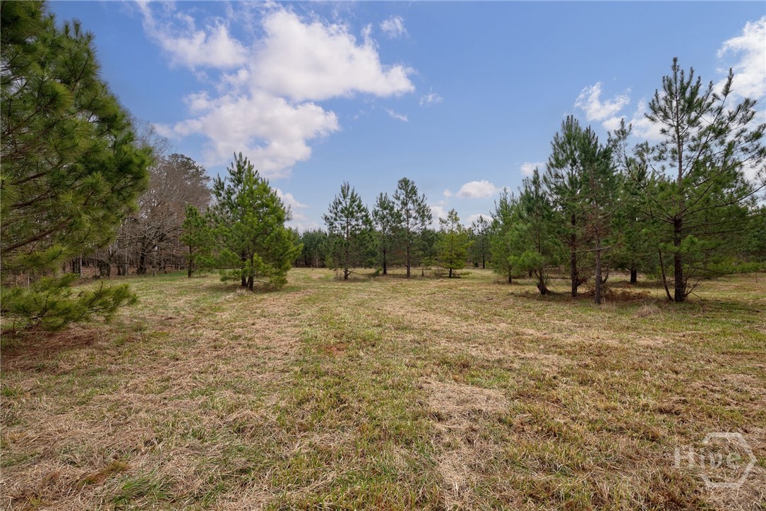 Tract 3 High Shoals Road Property Photo 11