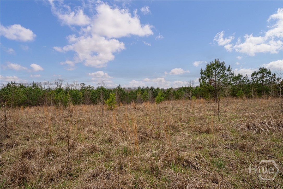 Tract 3 High Shoals Road Property Photo 12