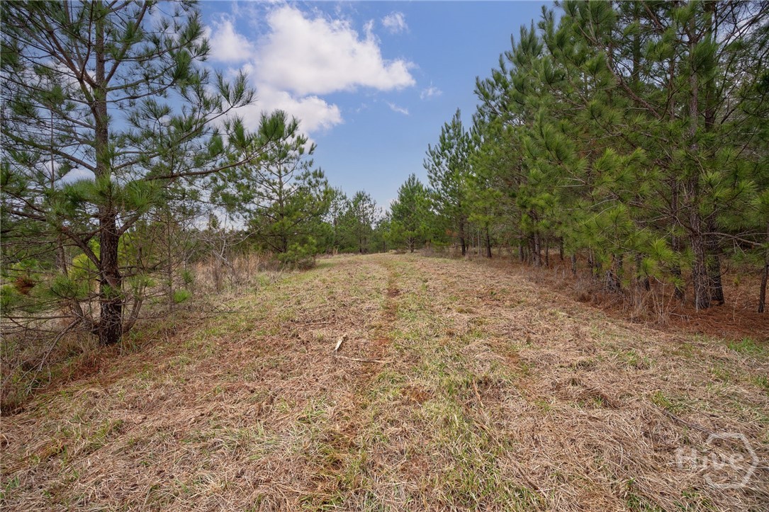 Tract 3 High Shoals Road Property Photo 13