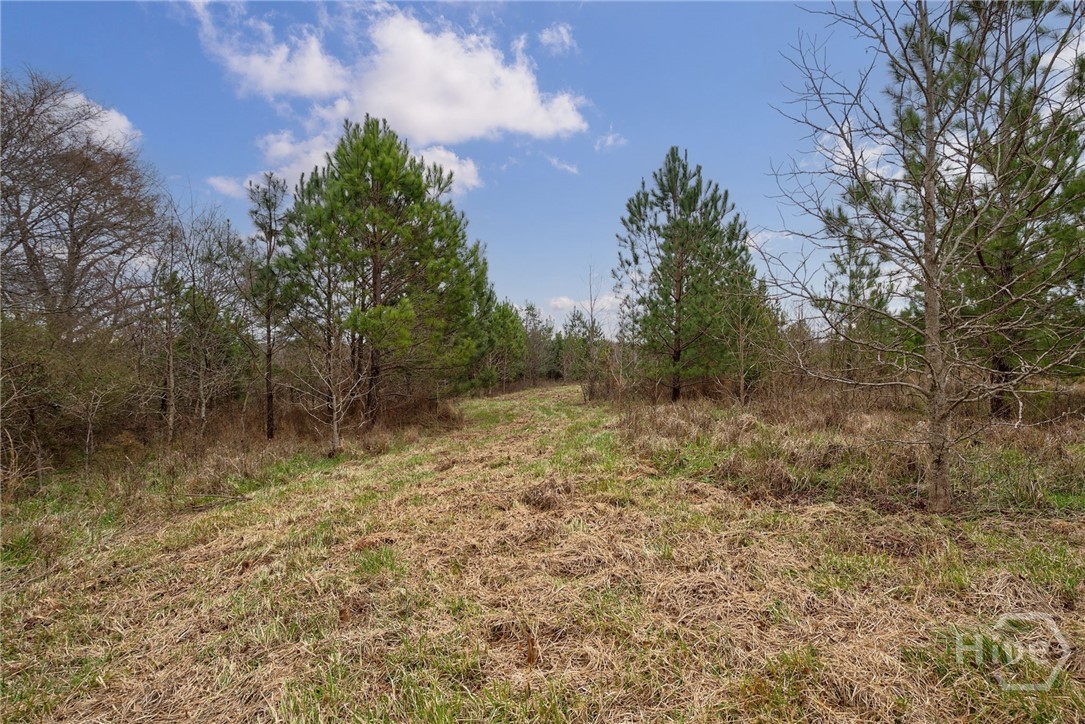 Tract 3 High Shoals Road Property Photo 14