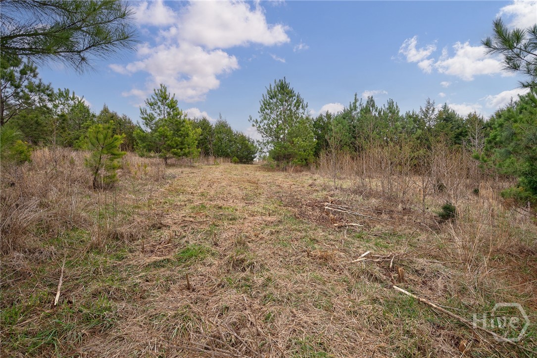 Tract 3 High Shoals Road Property Photo 16