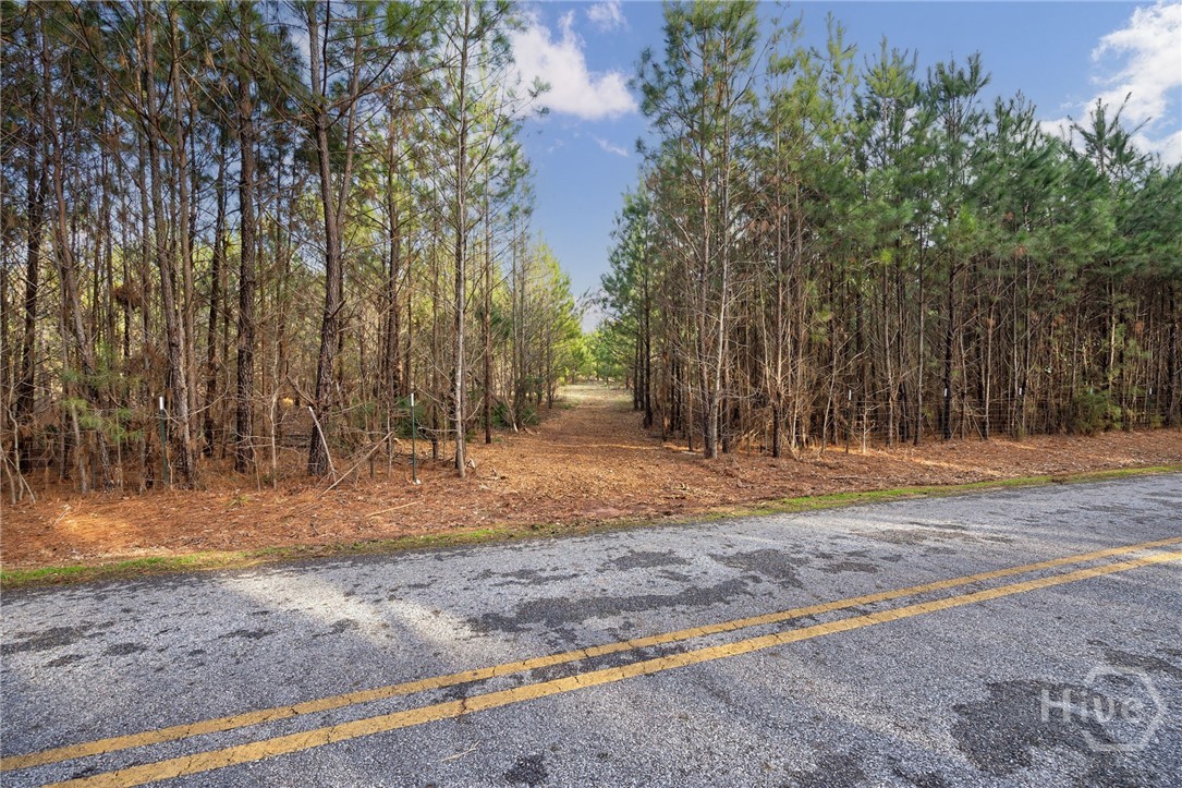 Tract 3 High Shoals Road Property Photo 17
