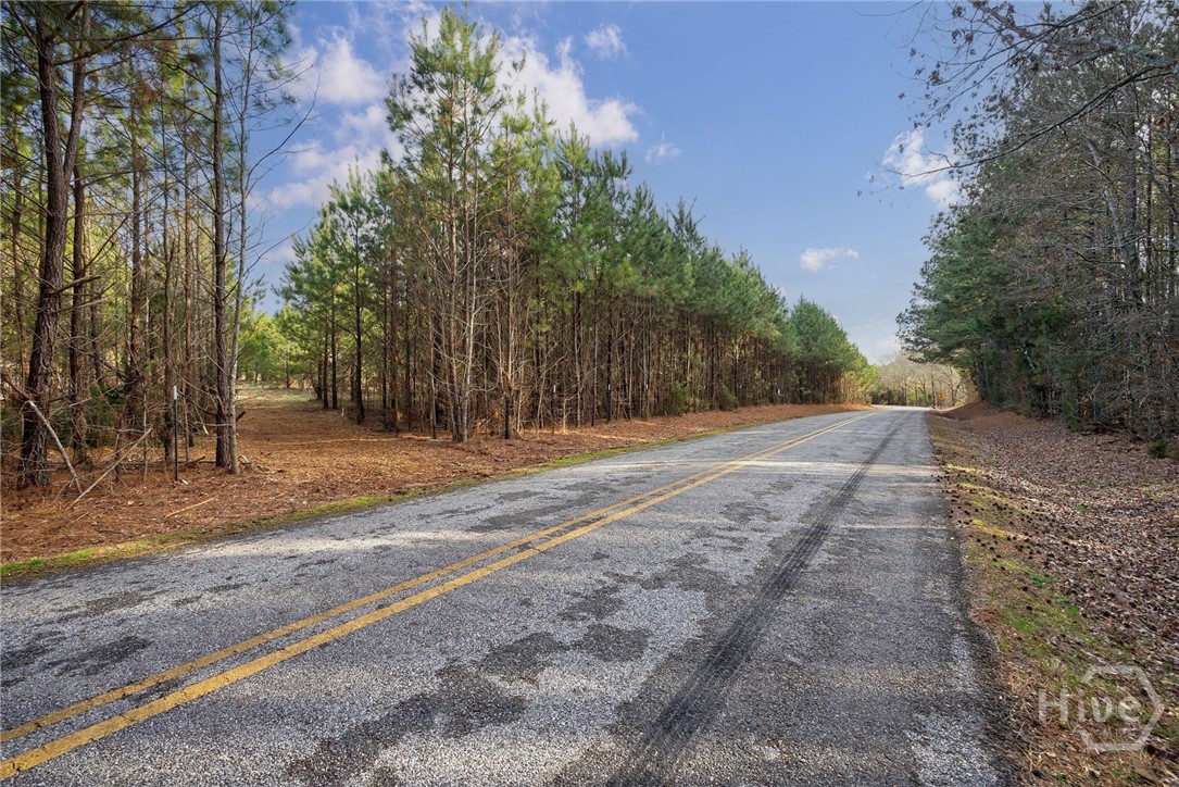 Tract 3 High Shoals Road Property Photo 18