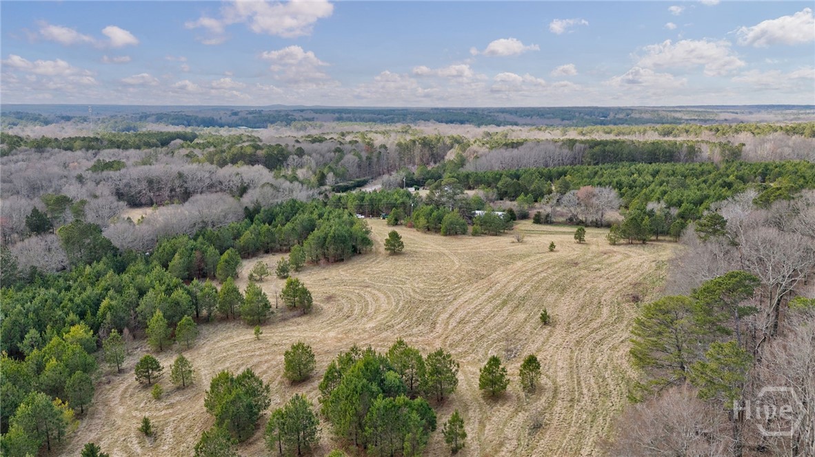 Tract 3 High Shoals Road Property Photo 29