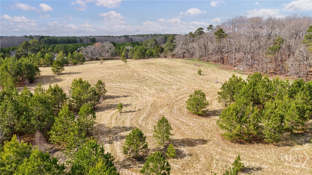 Tract 3 High Shoals Road Property Photo 31