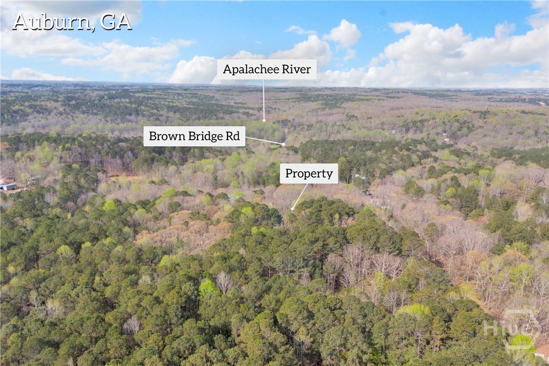 0 Brown Bridge Road Property Photo 4