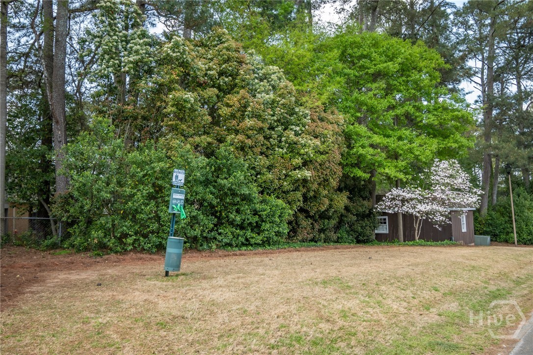 309 Georgetown Drive Property Photo 34
