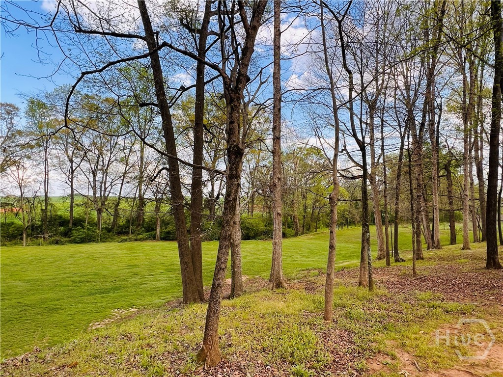 3386 Chandler Road Property Photo 71