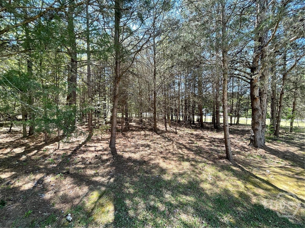 620 S Hogan Drive Property Photo 18