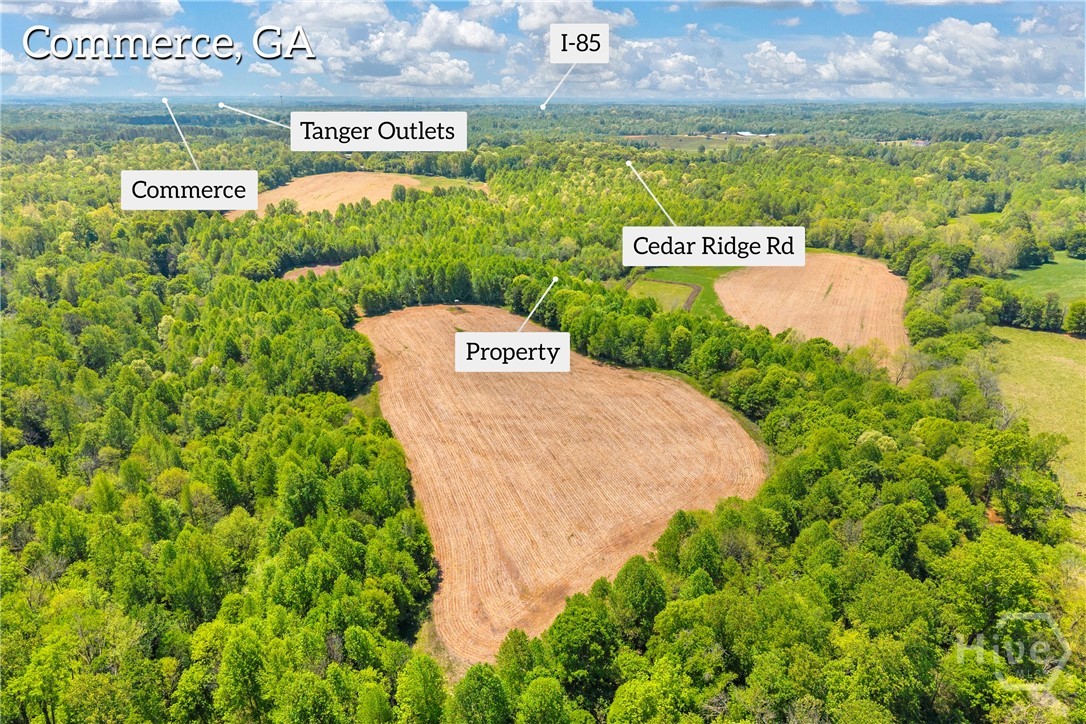 1224 Cedar Ridge Road Property Photo 3