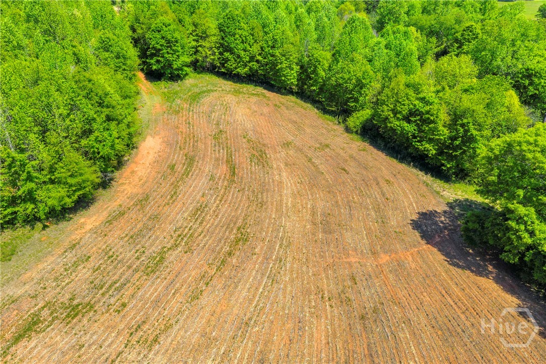 1224 Cedar Ridge Road Property Photo 25