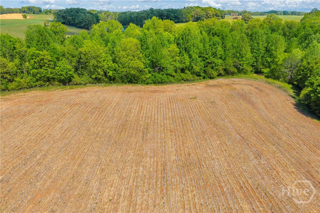 1224 Cedar Ridge Road Property Photo 31