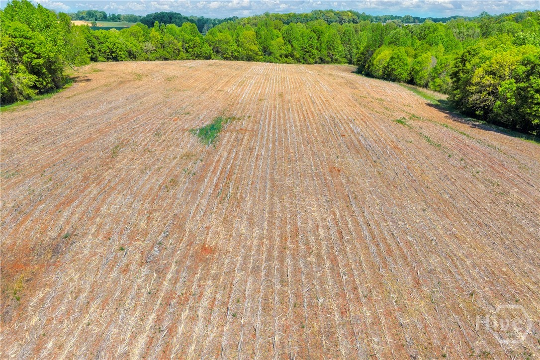 1224 Cedar Ridge Road Property Photo 32