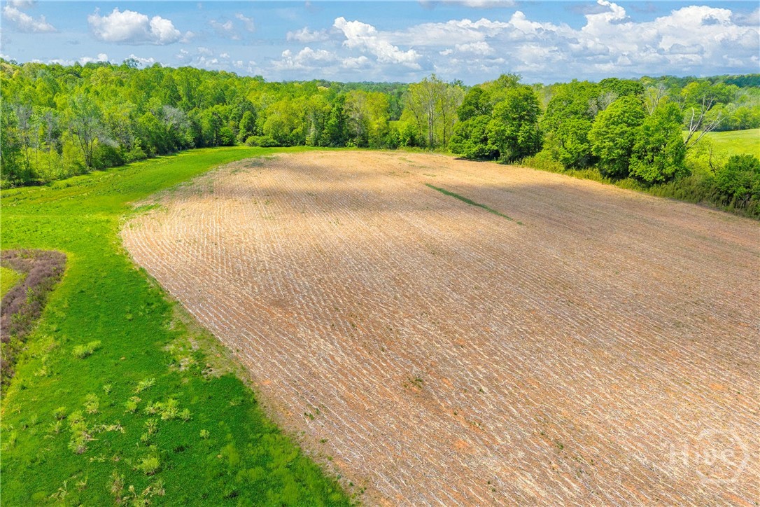 1224 Cedar Ridge Road Property Photo 34