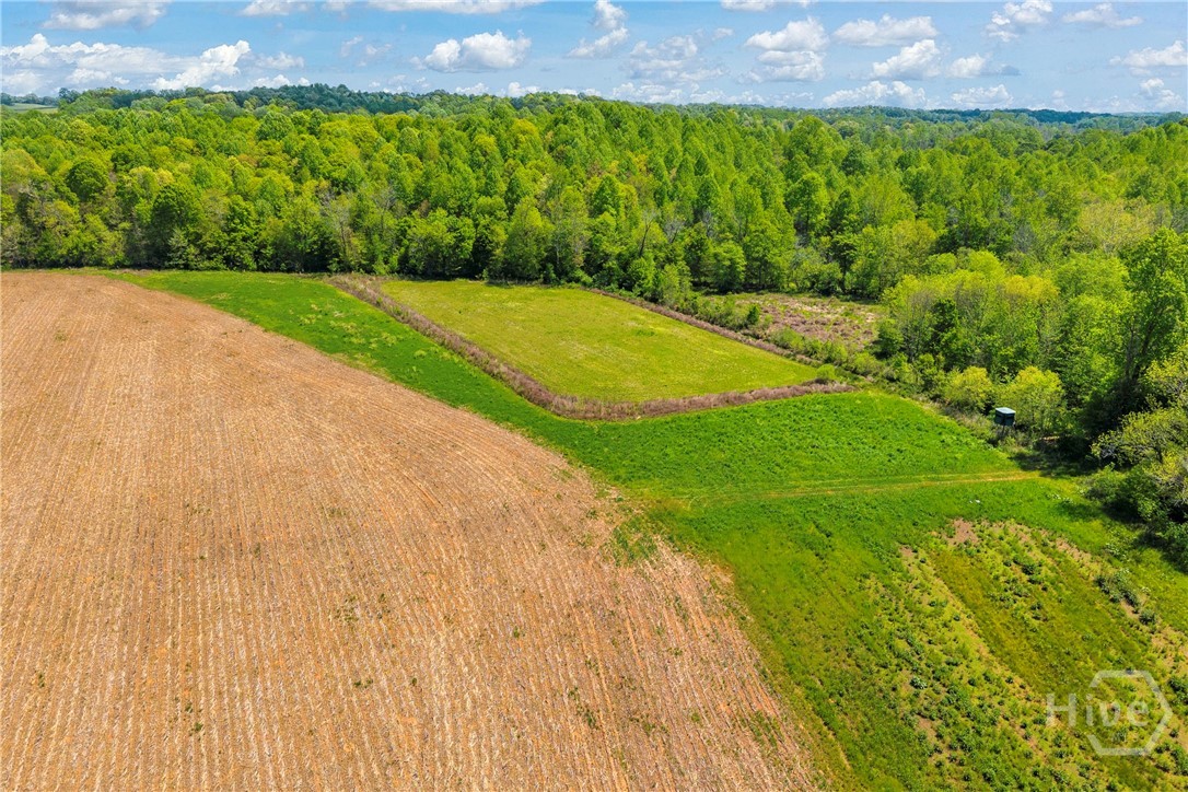 1224 Cedar Ridge Road Property Photo 35