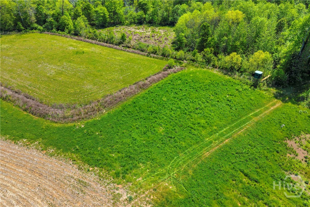 1224 Cedar Ridge Road Property Photo 46