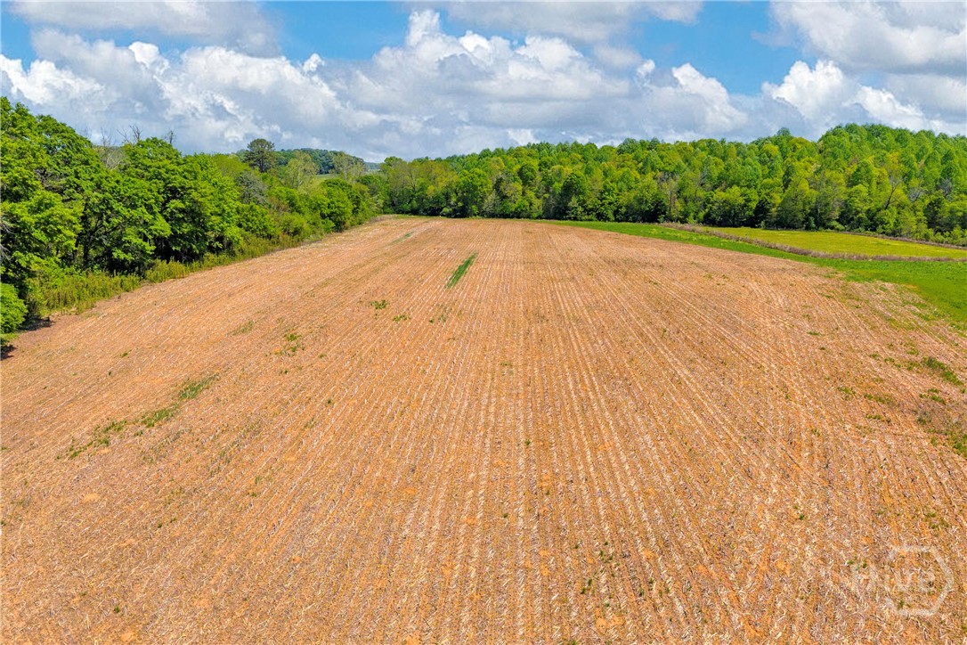 1224 Cedar Ridge Road Property Photo 55