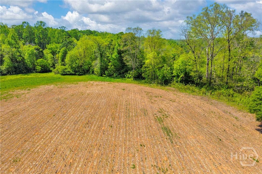 1224 Cedar Ridge Road Property Photo 56