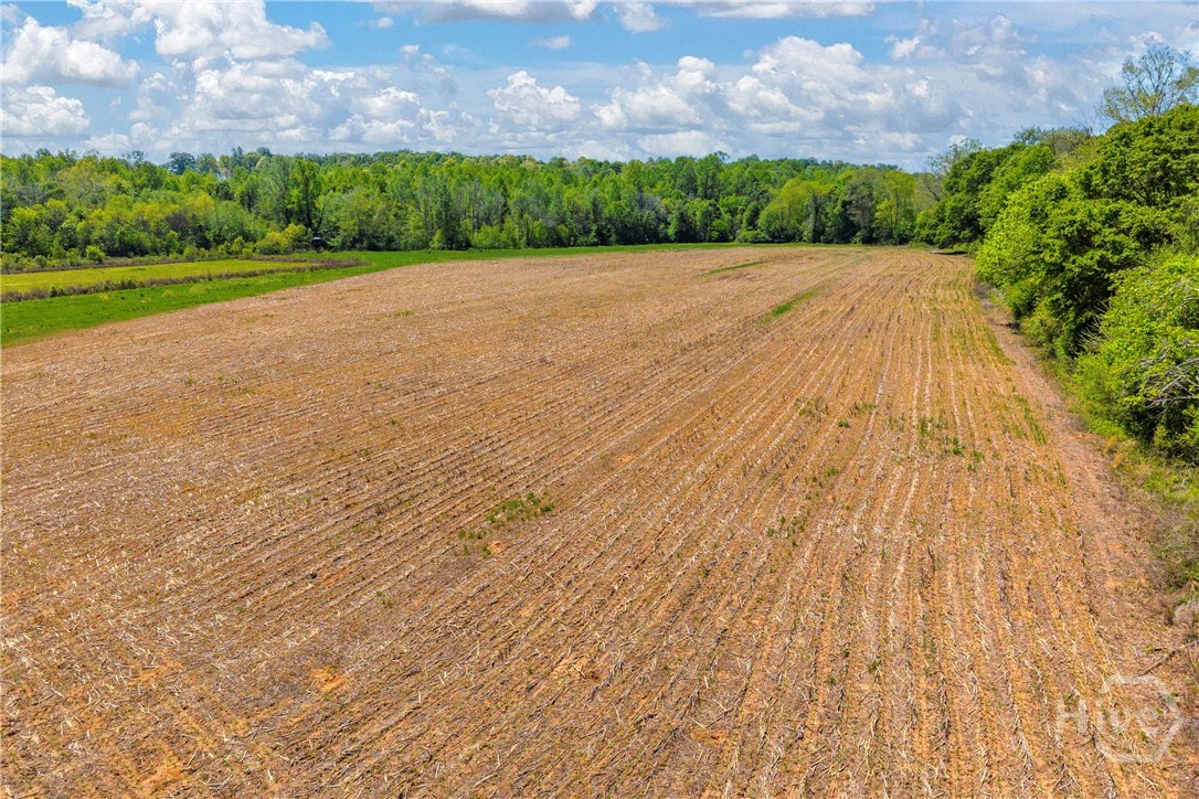 1224 Cedar Ridge Road Property Photo 58