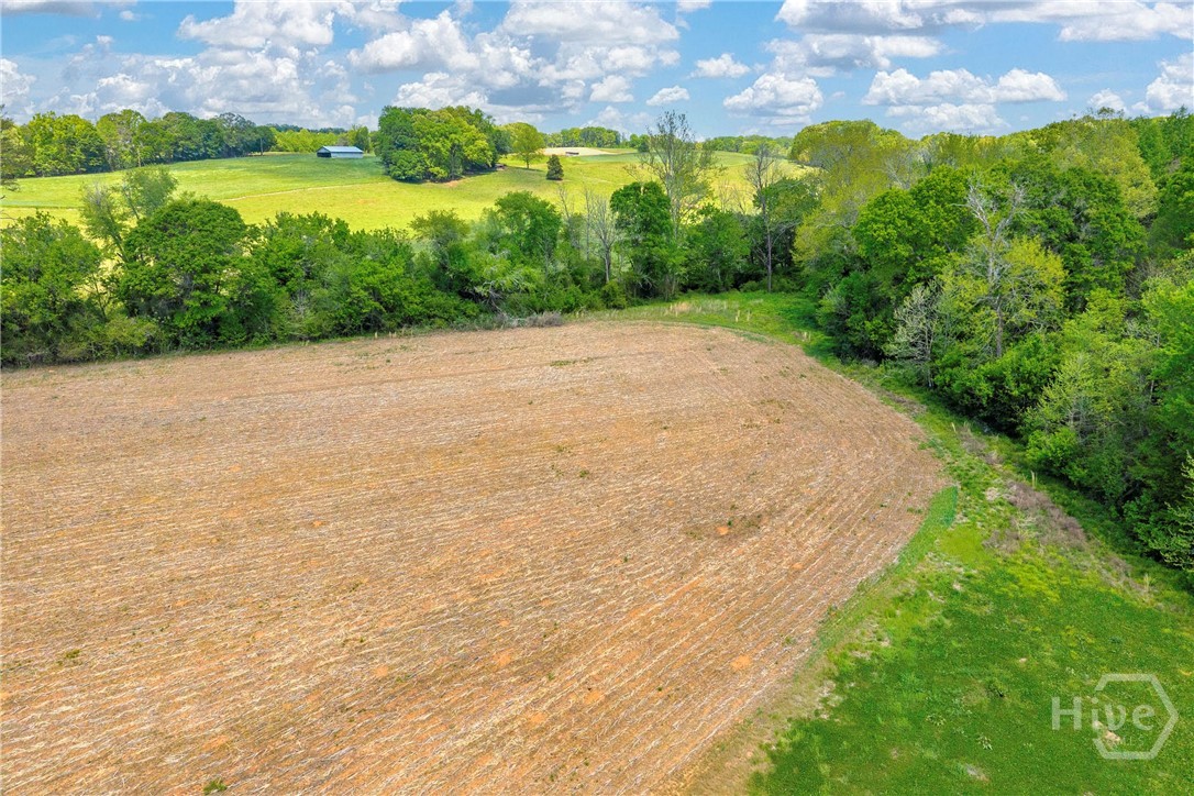1224 Cedar Ridge Road Property Photo 59