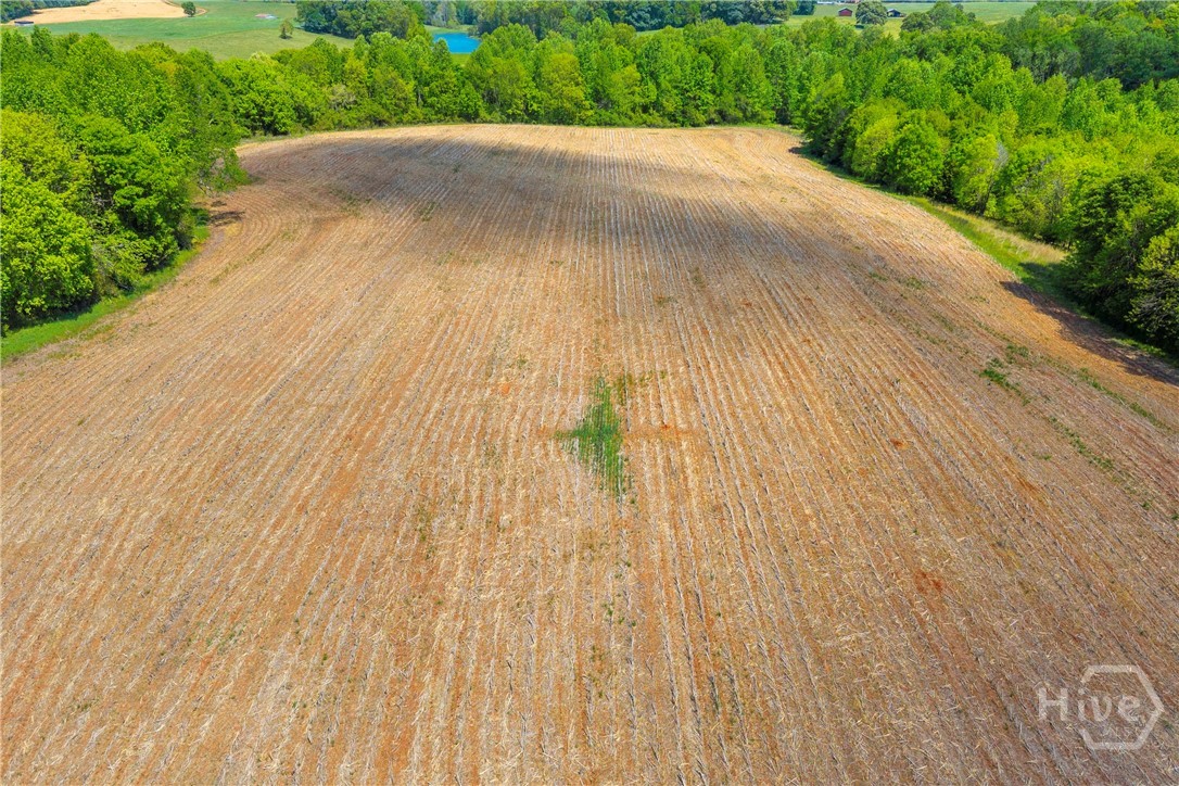 1224 Cedar Ridge Road Property Photo 60