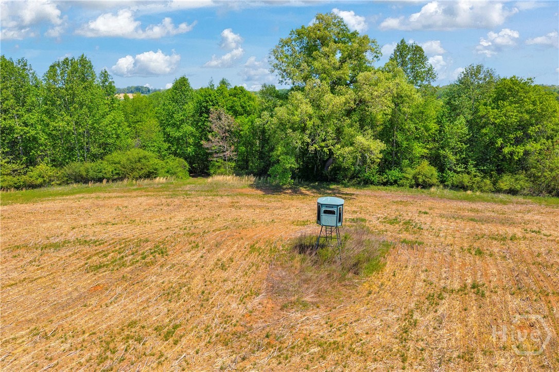 1224 Cedar Ridge Road Property Photo 65