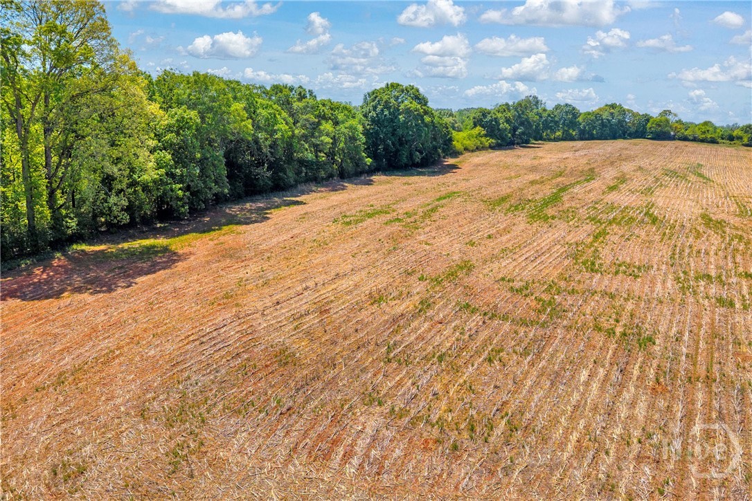 1224 Cedar Ridge Road Property Photo 68