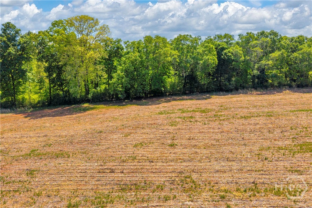 1224 Cedar Ridge Road Property Photo 69