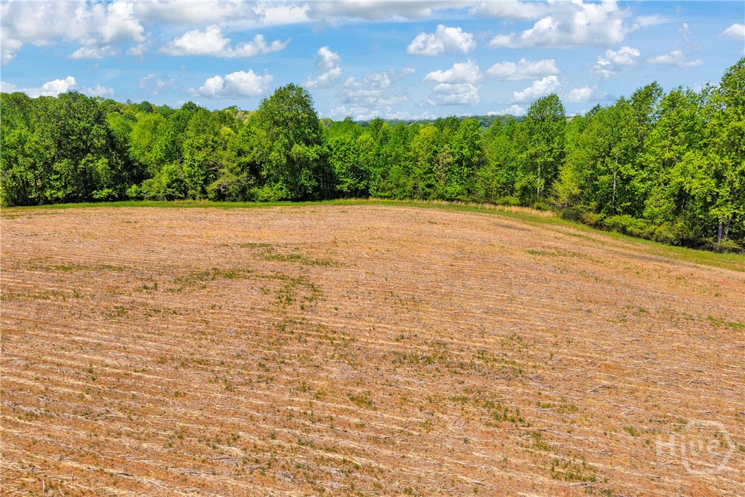 1224 Cedar Ridge Road Property Photo 70
