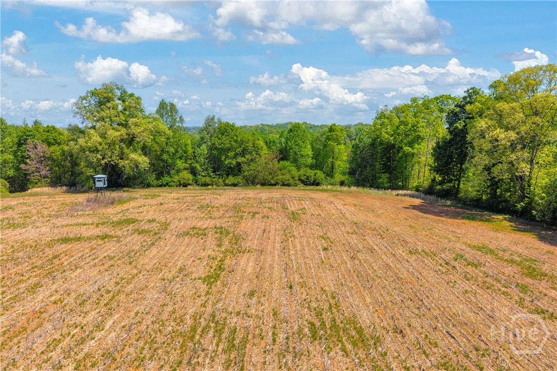 1224 Cedar Ridge Road Property Photo 71