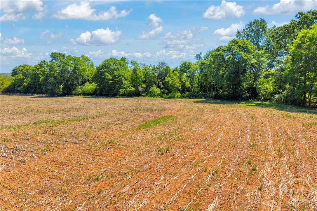 1224 Cedar Ridge Road Property Photo 73