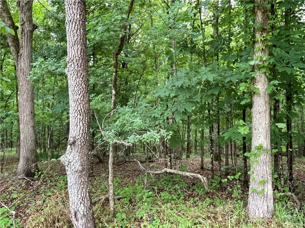 837 Bartram Trace Property Photo 67
