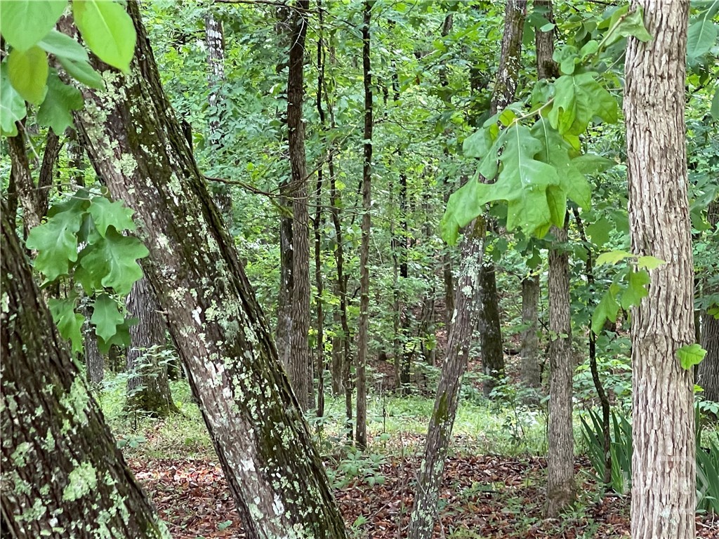 837 Bartram Trace Property Photo 68