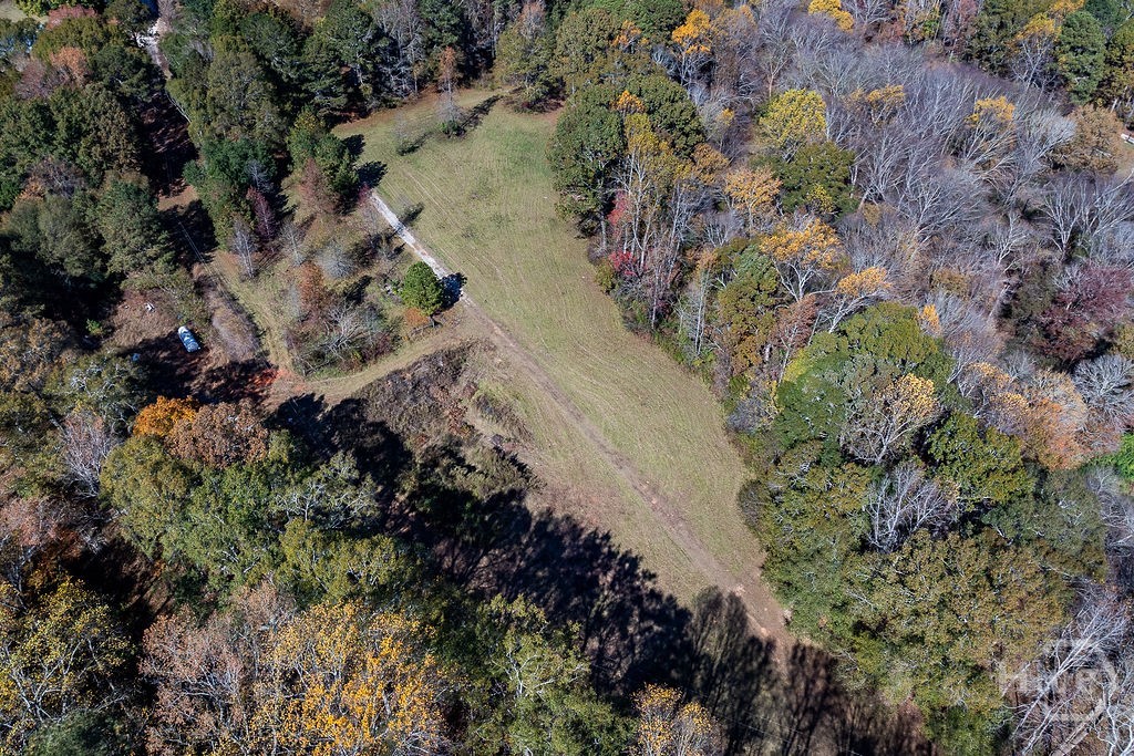 1414 Old Bishop Road Property Photo 3