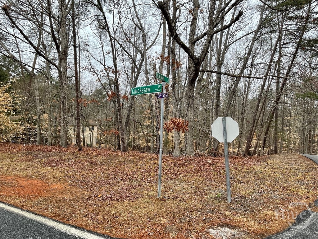 Lot 43 Chickasaw Drive Property Photo 1