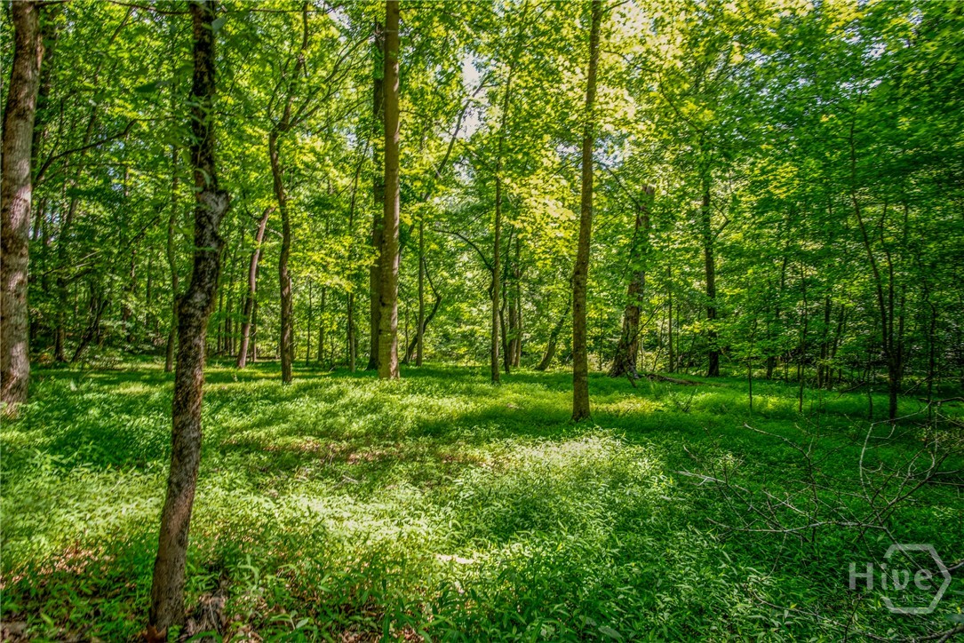 272 0 Doster Road Property Photo 44