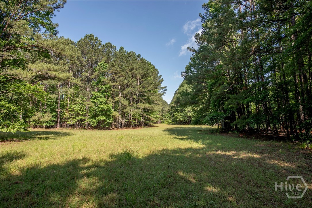 272 0 Doster Road Property Photo 45