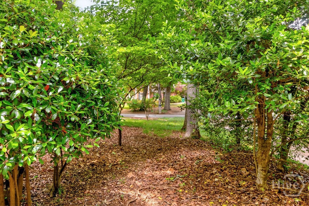 180 Broomsedge Trail Property Photo 46