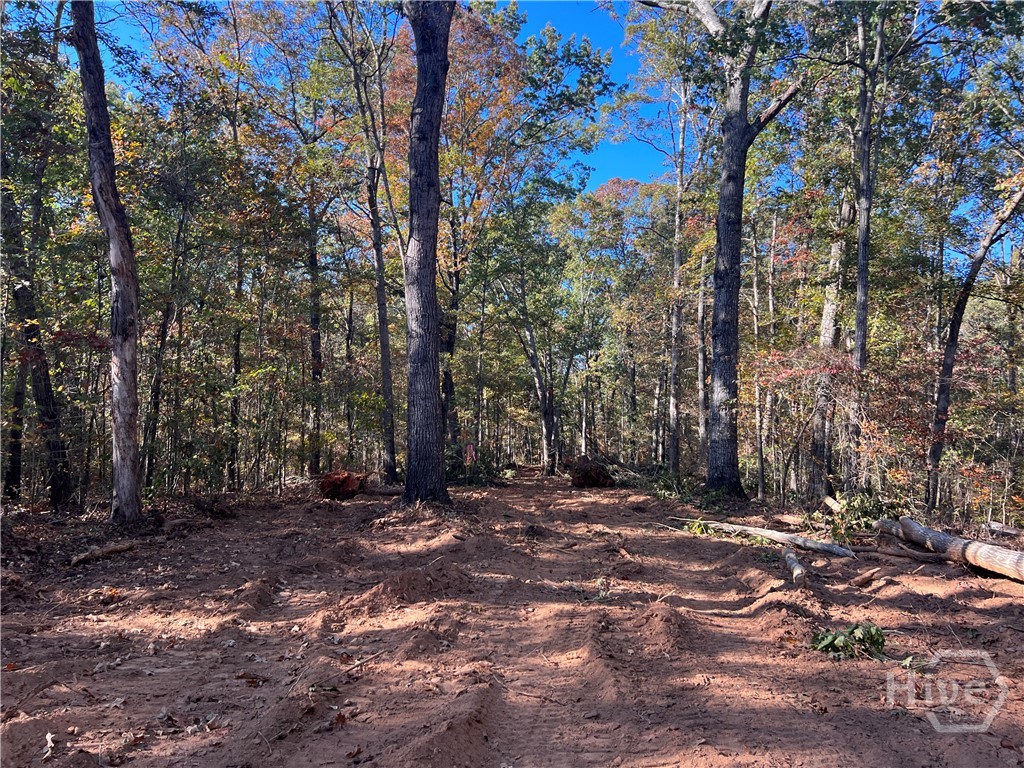 3 Curry Falls Trail Road 3 Property Photo 3