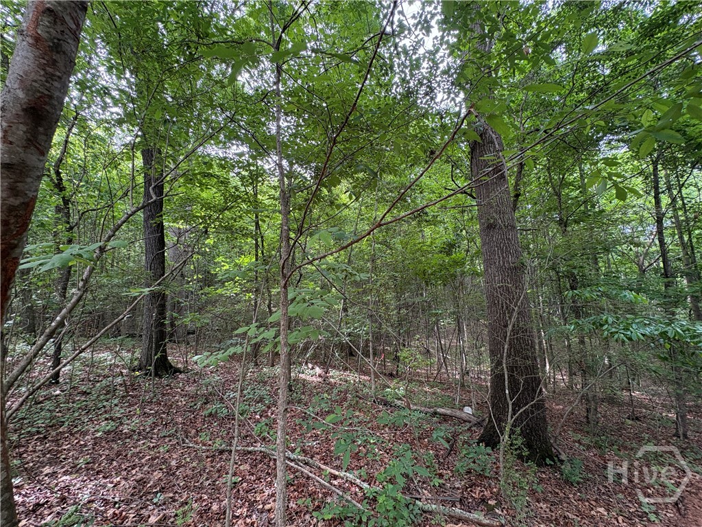 1020 Neal Road Property Photo 14