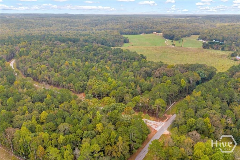 0 Curry Farms Road Lot 38 Property Photo 16