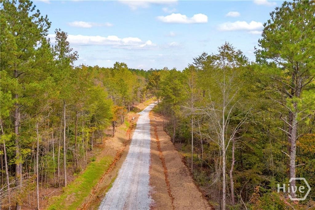 0 Curry Farms Road Lot 38 Property Photo 21