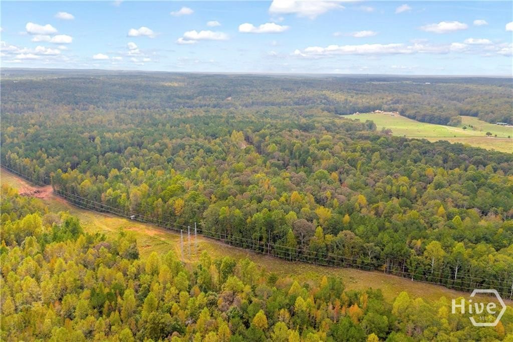0 Curry Farms Road Lot 38 Property Photo 28