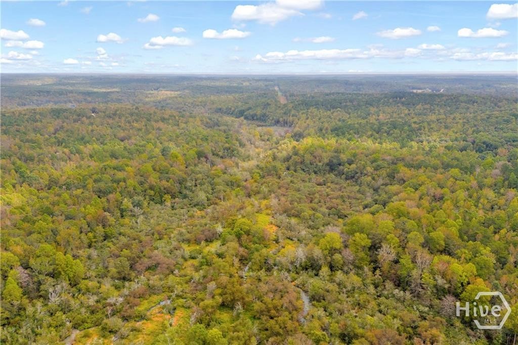 0 Curry Farms Road Lot 38 Property Photo 33