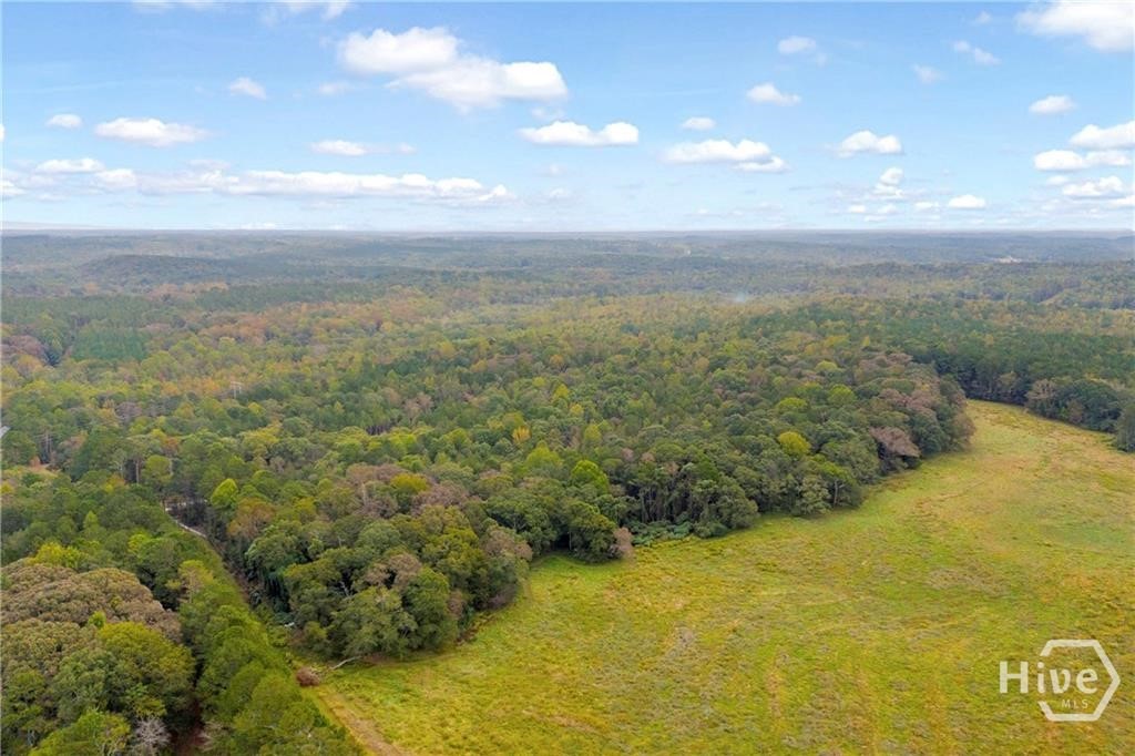 0 Curry Farms Road Lot 38 Property Photo 35