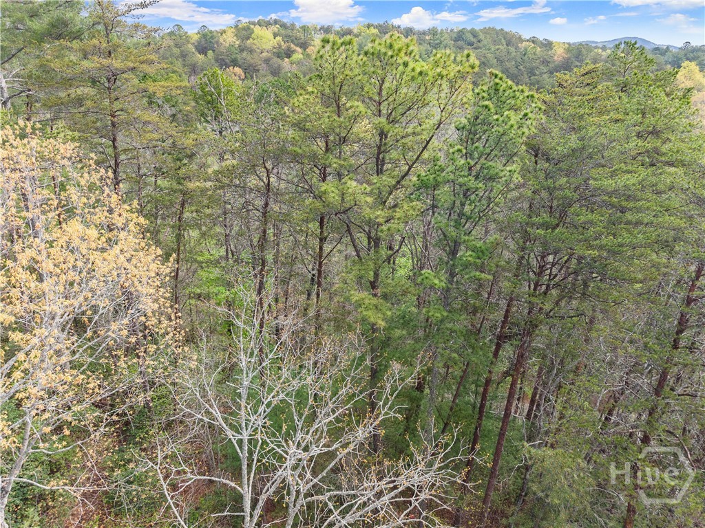 0 S Fern Cove Road Property Photo 14