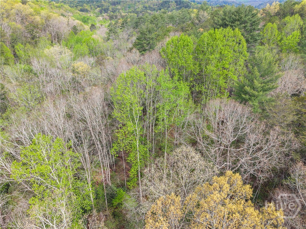 0 S Fern Cove Road Property Photo 15